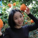 효성농장 이미지