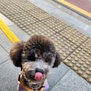 프리펫살롱 이미지