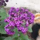 THE채움공인중개사사무소 이미지