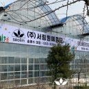 조경설계서림 이미지