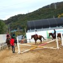 동서울 승마장 이미지