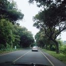 제주놀3320 | 제주 독채펜션 예쁜 마당이 있는 &lt;제주 놀 3320&gt;