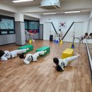 광명연세정도태권도장 이미지