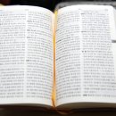 법보원 Daum카페