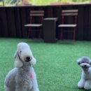 오미네커피 이미지