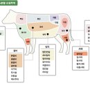 쇠고기 돼지고기 부위별 명칭 이미지