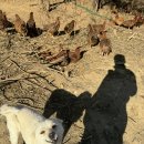 재순농장 이미지