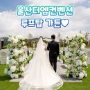 울산더엠컨벤션 루프탑 가든 웨딩홀 투어 후기! 웨딩홀, 꼼꼼하게 살펴보고 계약하자