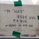 수정 왁자지껄 이미지