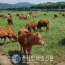 고흥한우협회 이미지