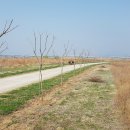 백일홍명품길 이미지