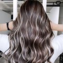 스너그라운드 이미지