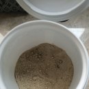 웰빙할인마트 이미지