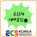 공심채 재배! 비닐하우스 냉난방기, 농업용 냉난방기 ▶이씨에스코리아 공기열히트펌프◀