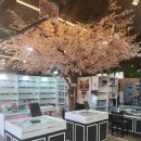 안경세상안경원 이미지