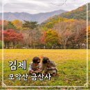 김제 금산사 단풍 시기 전북 가볼만한곳 추천 주변 맛집
