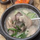 푸짐한순대국 | 김포 풍무 고향옥얼큰순대국 푸짐한 순대국 찐추천 후기