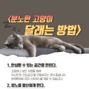 달래동물의료센터 이미지