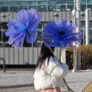 경기도 양평군 양평유치원 이미지