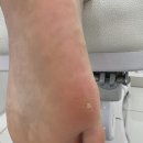 레푸스 성신여대점 이미지