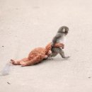 (주)유오케이 | 웨이팅게일 일기 1