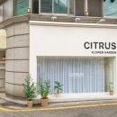시트러스디자인 이미지