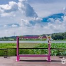 (주)숨인교육 이미지