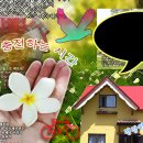 스튜디오0807