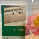 consolatio 이미지