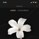 시네마스튜디오 이미지