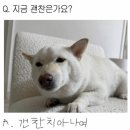 다크써클PC방 | 그치만…