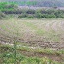 석전동506 이미지