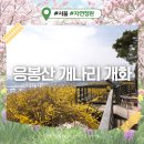 응봉공원6 | 2026 응봉산 개나리 실시간 개화현황 응봉산 팔각정 코스 추천