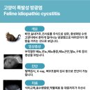 봉선아이동물메디컬센터 이미지