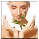 제천약초시장 이미지