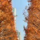 아인스웨딩&파티하우스 이미지