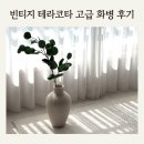 디종인테리어 이미지