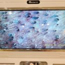 댕댕사우나 이미지