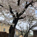 이성산칼국수 이미지