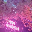 봄자싸롱