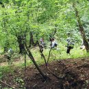 치악산둘레길 2코스 구룡길 이미지