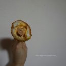 명랑시대쌀핫도그강릉대학로점 | 강릉분식 바로 여기지! 여고시절(feat.이영자 명랑핫도그)