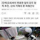 오토바이 번호판 앞뒤 모두 장착 추진…단속 카메라 못 피해간다 이미지