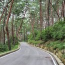 가리왕산가든 이미지