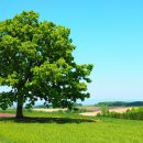 비에이(B/A) 이미지