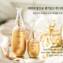 시그니처헤어 이미지