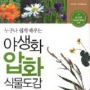 심리 힐링 압화 이미지