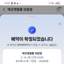 세종에코 | 세종 보람동 에코앤블룸 보람점 만원 꽃다발 내돈내산 후기