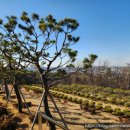 안식목장 이미지