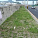 산단도로5 이미지